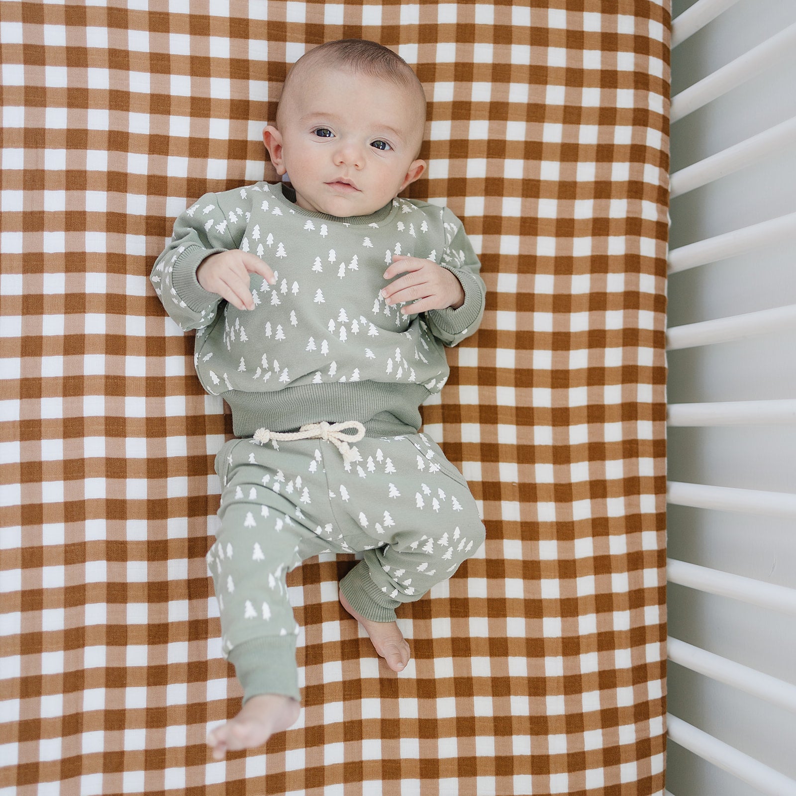 Gingham crib hot sale sheets